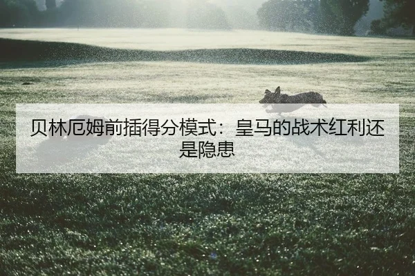 bei-lin-e-mu-qian-cha-de-fen-mo-shi-huang-ma-de-zhan-shu-hong-li-hai-shi-yin-huan-2-170.jpg